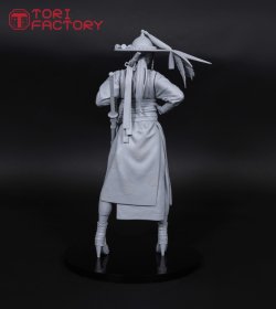 画像11: トリファクトリー[BS-05A] 1/12 中世 朝鮮王朝 李氏朝鮮時代の女騎士