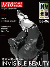 トリファクトリー[BS-06]1/10 インビジブルセクシー