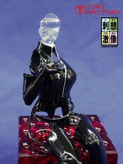 画像16: トリファクトリー[BS-06]1/10 インビジブルセクシー