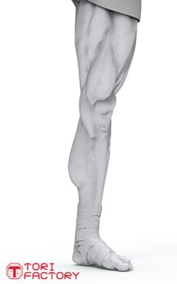 画像12: トリファクトリー[BS-09]1/12 格闘技 タイ ムエタイ 膝蹴りの型