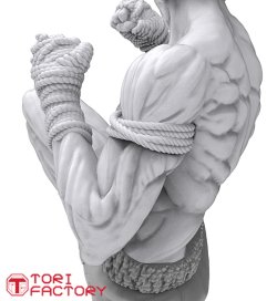 画像13: トリファクトリー[BS-09]1/12 格闘技 タイ ムエタイ 膝蹴りの型