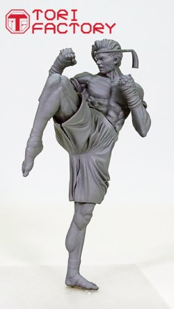 画像15: トリファクトリー[BS-09]1/12 格闘技 タイ ムエタイ 膝蹴りの型
