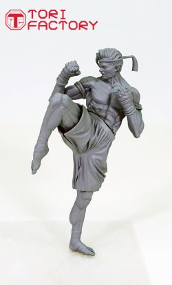 画像18: トリファクトリー[BS-09]1/12 格闘技 タイ ムエタイ 膝蹴りの型