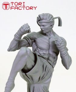 画像19: トリファクトリー[BS-09]1/12 格闘技 タイ ムエタイ 膝蹴りの型