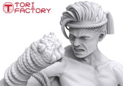 画像8: トリファクトリー[BS-09]1/12 格闘技 タイ ムエタイ 膝蹴りの型