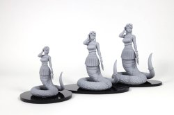 画像9: トリファクトリー[GC-038]1/24 ラミナ