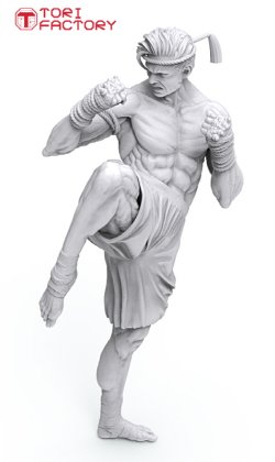 画像5: トリファクトリー[MF-41B]1/24 格闘技 タイ ムエタイ 膝蹴りの型