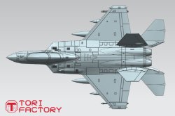 画像17: トリファクトリー[TF-A03]1/144 現用 韓国空軍 KF-21ボラメ "複座型"