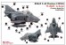 画像3: トリファクトリー[TF-B22D]Qスケール/たまごひこーき 現用 韓国空軍 F-4EファントムII 退役記念式典デカールセット