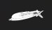 画像2: トリファクトリー[TF-B35]1/18 現用 韓国 KGGB誘導爆弾 w/アクリルスタンド (2)