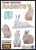 画像1: トリファクトリー[ZA-16C]1/12 ジオラマアクセサリー ウサギセット(5点) (1)