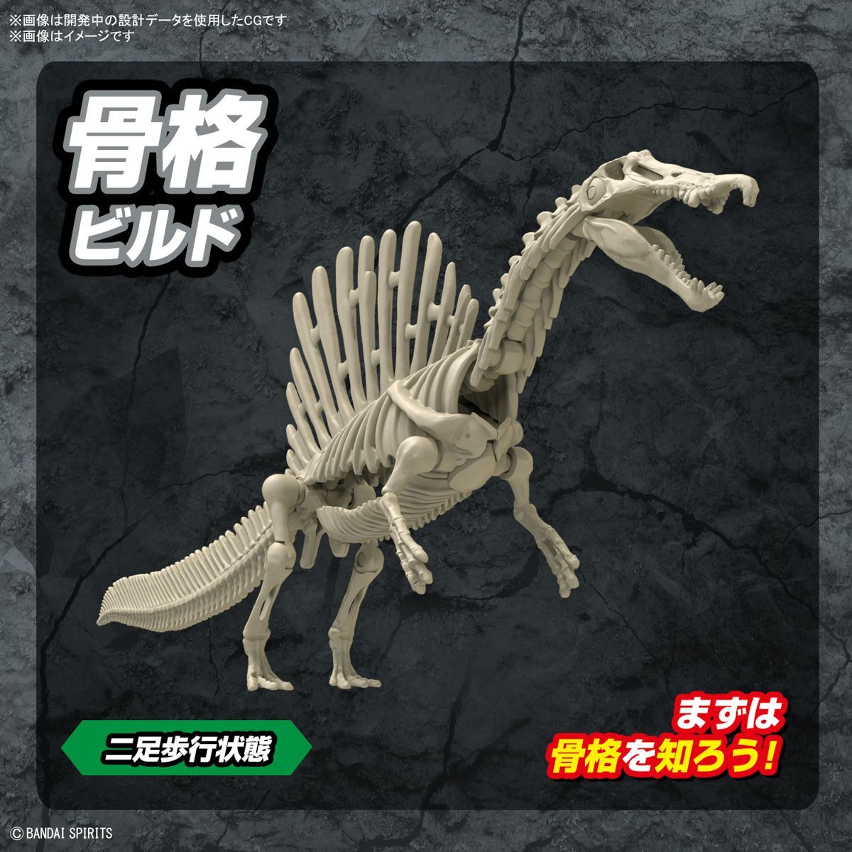 LCI)骨集めのドラコサウルス(F)/BONEHOARD DRACOSAUR | (FOIL
