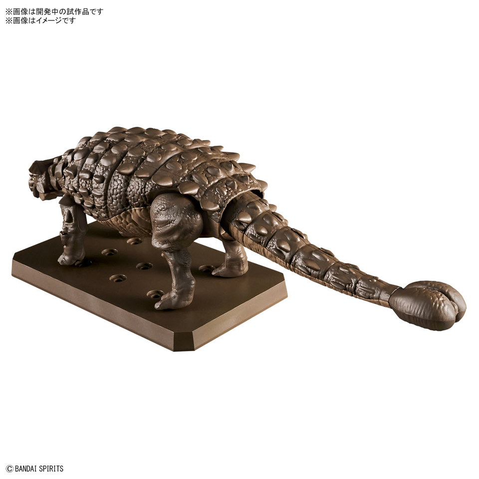 恐竜アンキロサウルスの装甲化石約60mm