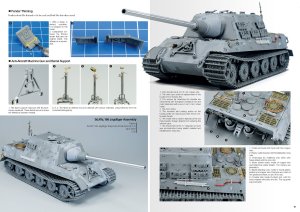 画像2: AKインタラクティブ書籍[ABT0612]書籍タイガース・トゥ・スケール 　ホアキン・ガルシア著 (2)