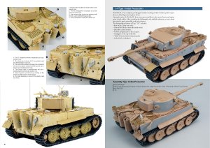 画像4: AKインタラクティブ書籍[ABT0612]書籍タイガース・トゥ・スケール 　ホアキン・ガルシア著 (4)