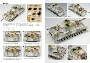 画像8: AKインタラクティブ書籍[ABT0612]書籍タイガース・トゥ・スケール 　ホアキン・ガルシア著 (8)