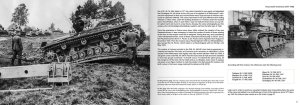 画像6: AKインタラクティブ書籍[ABT722]書籍　パンツァーヴァッフェターンファルベン　WW2ドイツ戦車の迷彩塗装 (6)