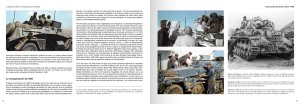 画像10: AKインタラクティブ書籍[ABT722]書籍　パンツァーヴァッフェターンファルベン　WW2ドイツ戦車の迷彩塗装 (10)