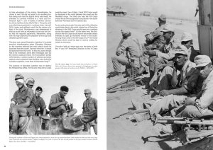 画像9: AKインタラクティブ書籍[ABT0753]書籍ドイツアフリカ軍団 (9)
