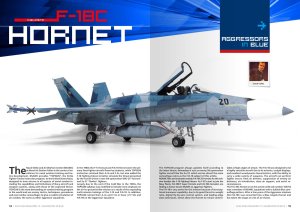 画像2: AKインタラクティブ書籍[AK02941]エーセズハイ19号　アグレッサー機 (2)