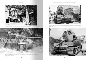 画像9: AMMO書籍[AMIG6261]書籍　イタリア戦線：ドイツ軍戦闘車輌1943-1945　Vol.1 (9)