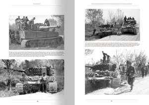 画像6: AMMO書籍[AMIG6261]書籍　イタリア戦線：ドイツ軍戦闘車輌1943-1945　Vol.1 (6)