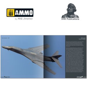 画像2: AMMO書籍[DH027]B-1Bランサー写真集 (2)