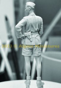 画像9: Alpine Miniatures[AM35310]1/35 WWII ドイツアフリカ軍団 装甲部隊将校 (9)