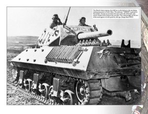 画像3: Ampersand Publishing[AMP36719]M10/アキリーズ ビジュアルヒストリー（WEB限定） (3)