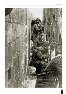 画像11: Panzerdivision Hitlerjugend Vol.1.2 (11)