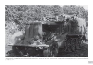 画像5: PeKo Publishing[PEK83759]Elephant Paths: Combat History of Sturmgesch?tz-Abteilung 203 (5)