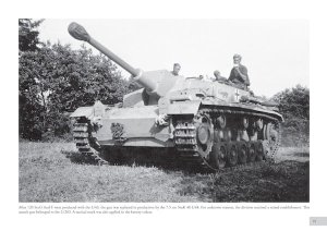 画像6: PeKo Publishing[PEK83759]Elephant Paths: Combat History of Sturmgesch?tz-Abteilung 203 (6)