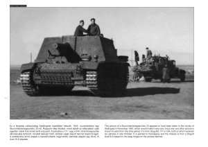 画像5: PeKo Publishing[PEK3162]WW2 photobook series Vol. 19 ? German self-propelled guns on the battlefield (5)