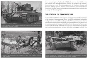 画像4: PeKo Publishing[PEK8318]レニングラードからナルヴァへ：バルト地方北部の戦い 1944年1月〜9月 (4)