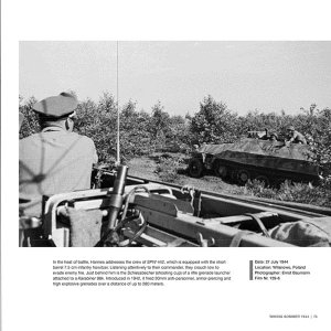 画像8: Wiking Sommer (8)