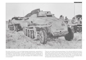 画像3: PeKo Publishing[PEK83551]German Support Vehicles on the Battlefield (Vol.22) (3)