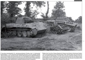 画像2: PeKo Publishing[PKO-2355]World War Two Photobook Series No. 6 Panther on the Battlefield (2)