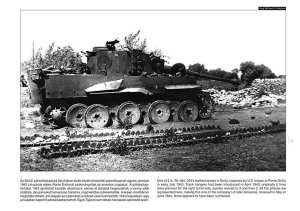 画像2: PeKo Publishing[PKO-2362]World War Two Photobook Series No. 7 Tiger I on the Battlefield (2)