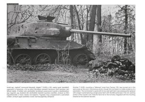画像2: PeKo Publishing[PEK0017]World War Two Photobook Series Vol.17  T-34戦車 戦場写真集 パート2 (2)