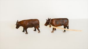 画像4: CHINO MODEL[CMMA-001]1/35 アジア牛 (4)