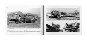 画像2: CANFORA[Broken Wings]ブロークンウィングス ヨーロッパ諸国他編 (2)