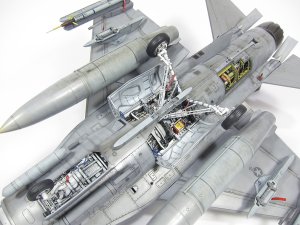 画像5: CANFORA[WINGSPAN_S1]ウィングスパンスペシャル1 (5)