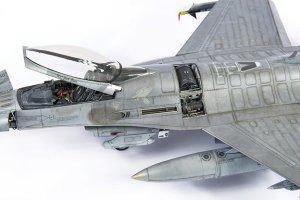 画像7: CANFORA[WINGSPAN_S1]ウィングスパンスペシャル1 (7)