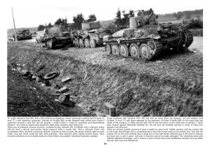 画像3: Capricorn Publications[SF01]セルギエフカ 1941年10月16日(歴史研究シリーズ) (3)