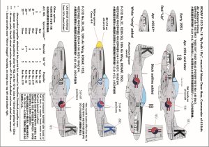 画像6: Crossdelta[CDLJ48002T]1/48 現用 韓国空軍 朝鮮戦争のF-51ムスタング (6)