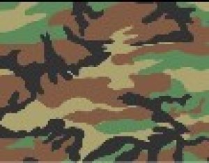 画像2: Crossdelta[MIL-35-001]1/35 韓国軍旧4色 (2)