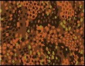 画像2: Crossdelta[MIL-35-005]1/35 WW2ドイツSS　M44エンドウ豆 (2)