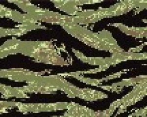 画像2: Crossdelta[MIL-35-009]1/35 タイガーストライプ「ジョン・ウェイン・デンス」 (2)