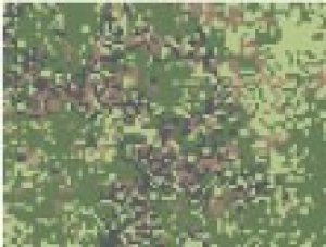 画像2: Crossdelta[MIL-35-032]1/35 ロシア軍 デジタル迷彩 (2)