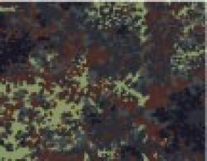 画像2: Crossdelta[MIL-35-033]1/35 ドイツ「フレックターン」POST 2005 (2)